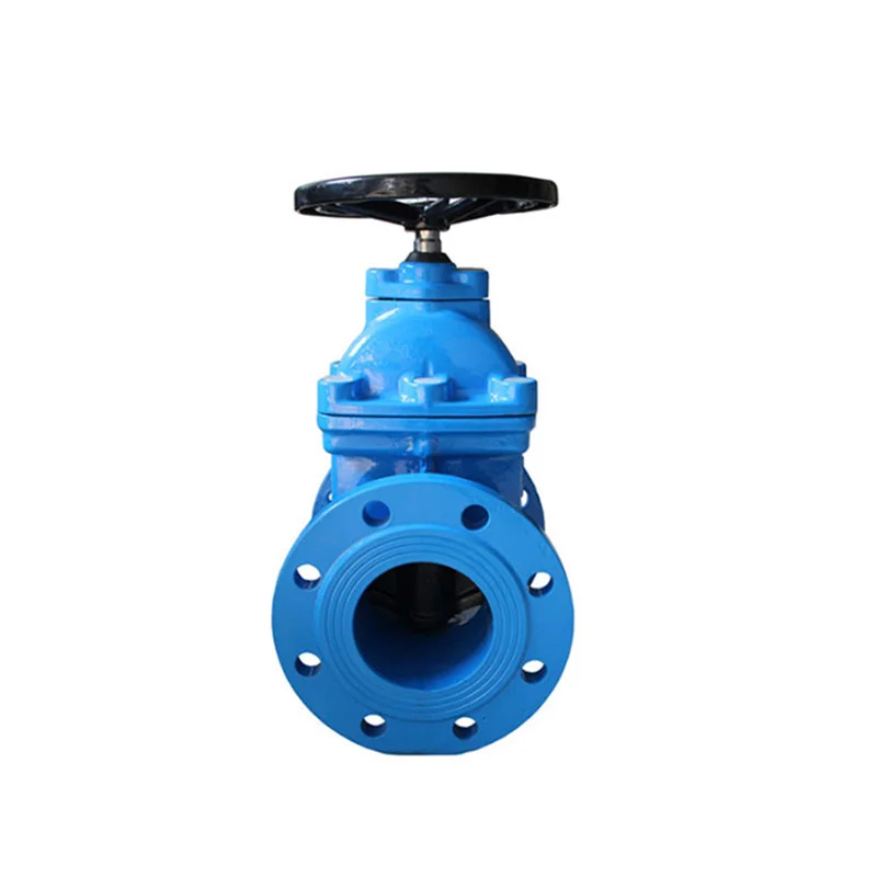 BS5150 Non-rising Stem Flanged End Gate Valve-491
