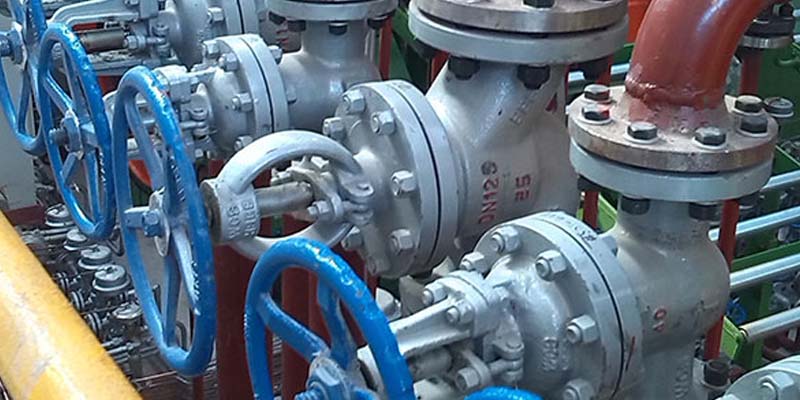 EATHU cryogenic globe valves