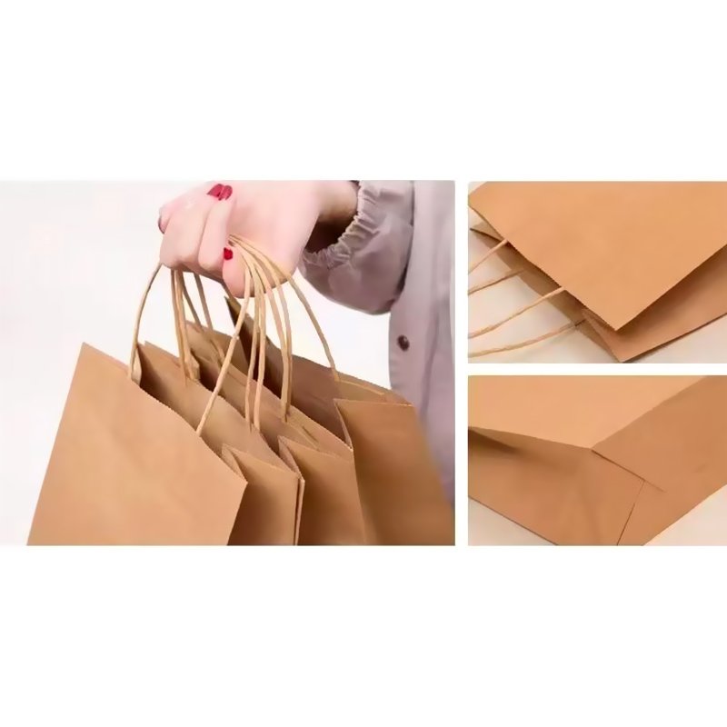 _0008_Twisted Handle Paper Bags