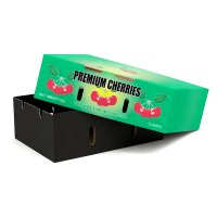 _0003_Packing Corrugated Carton Box