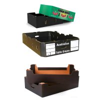 _0001_Custom Printed Fruit Gift Box with Handle