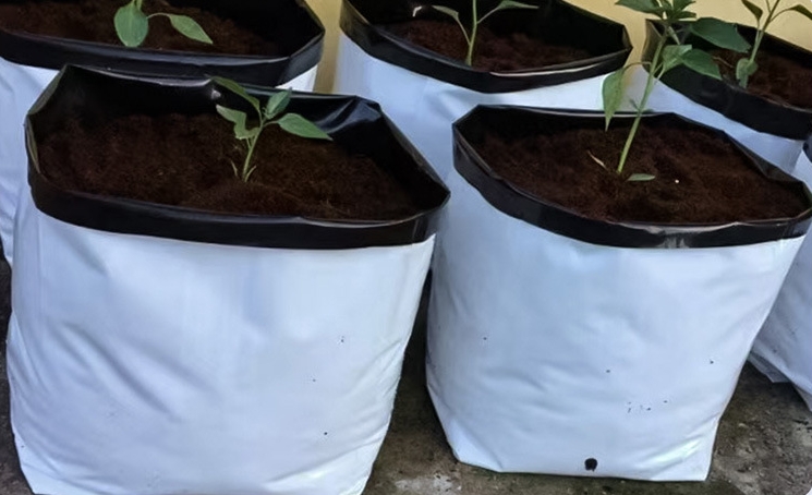 UV masterbatch for grow bag 1