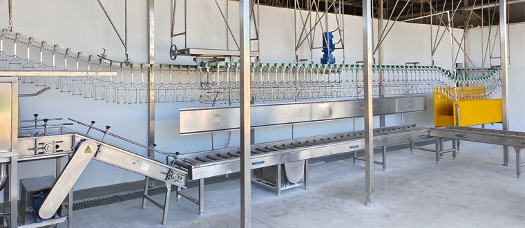 high capacity poultry slaughter solution