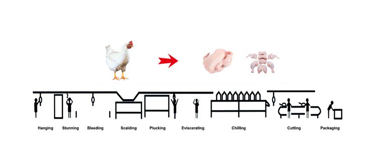 mobile Chicken Slaughterhouse