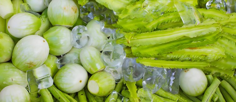 Fruit and Vegetable Preservation&Beer and Beverage Cooling