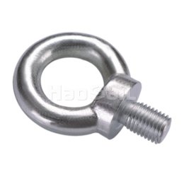 1111111_0002_DIN 580 STAINLESS STEEL EYE BOLT (3)