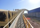 bulk transport tubular belt with spillage control