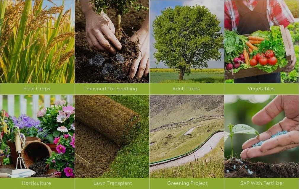Agriculture SAP
