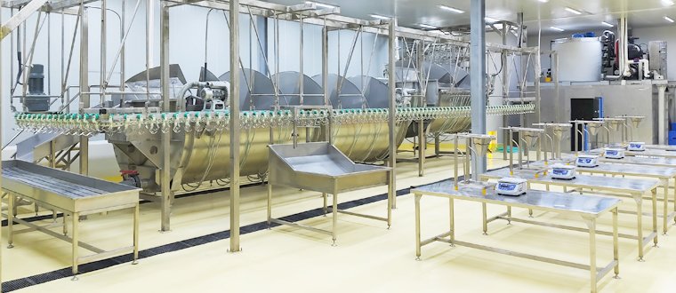 Poultry Abattoir Slaughter Line&Chicken Slaughterhouse