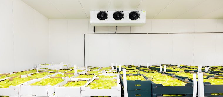 Fruit and Vegetable Preservation&Beer and Beverage Cooling