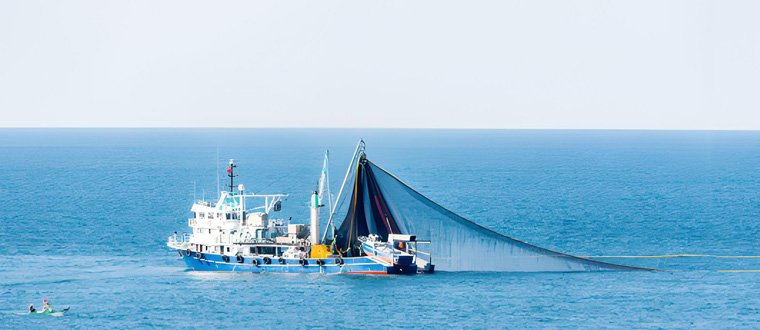 Fish Processing Plant&Fishing Boat Seafood Cooling