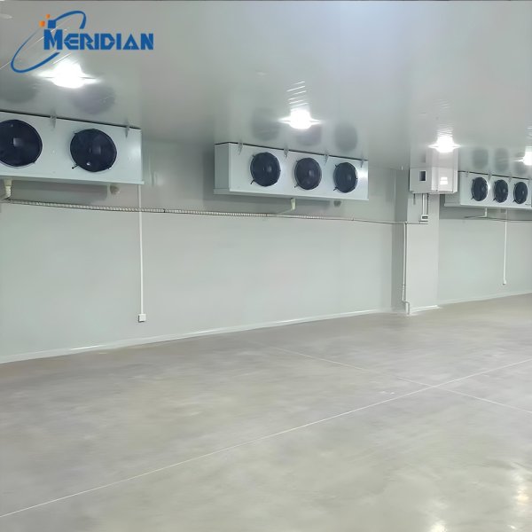 Cold Storage Room for Meat