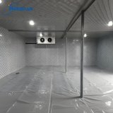 Seafood freezer room operating at -40°C