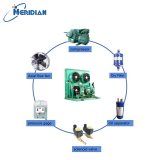 refrigeration piping system in seafood plant