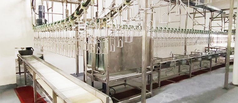 300bph chicken processing line