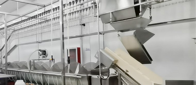 chicken-feet-processing-line-machine