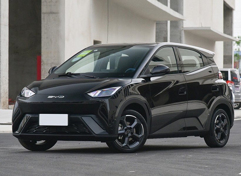 未标题-5_0000_01-2海鸥正面-黑_800x800_800x800