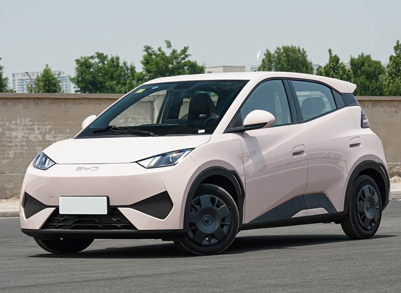 未标题-5_0001_01-2海鸥正面-粉_800x800_800x800