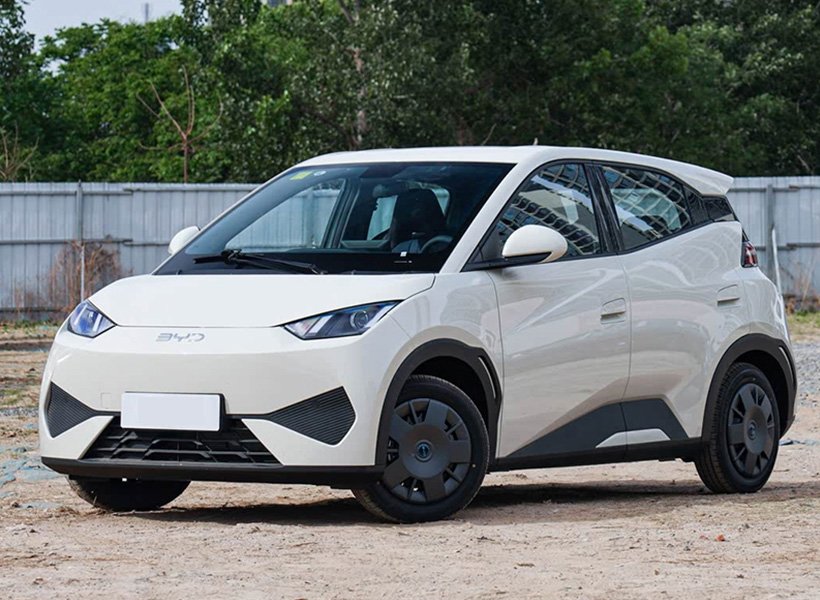 未标题-5_0002_01-2海鸥正面-白_800x800_800x800