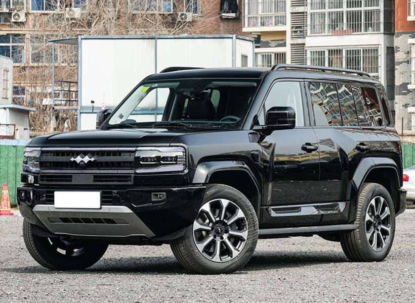 _0002_cropped_01-1方程豹-豹5-黑