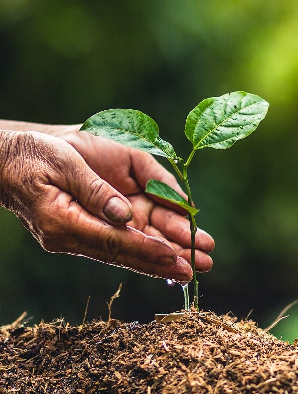 ISO14001:2015