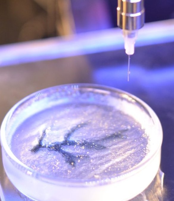 利用载细胞生物墨水进行3D生物打印：光引发交联技术的创新以提高细胞相容性
