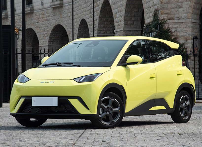 未标题-5_0004_01-2海鸥正面-黄_800x800_800x800