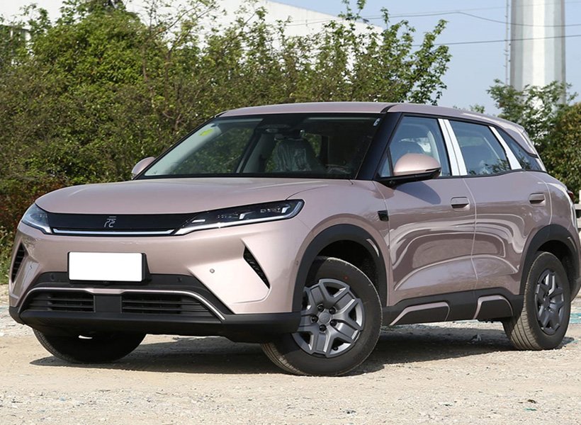 _0002_cropped_03-2元up 2025款 智驾版 401KM-粉