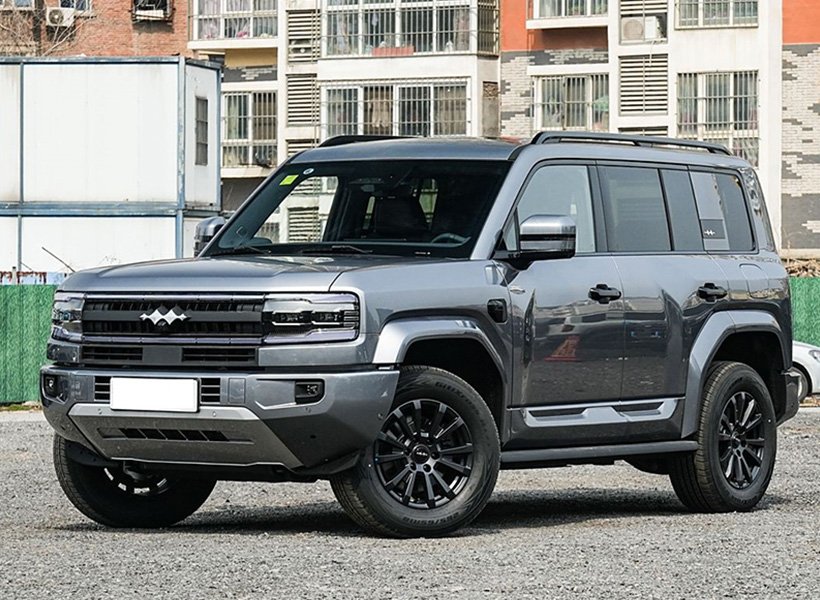 _0001_cropped_01-2方程豹-豹5-灰