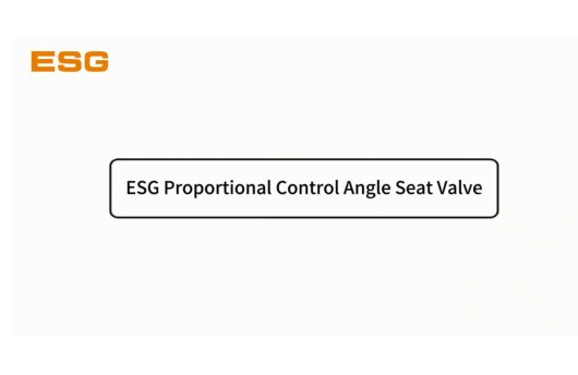 ESG Proportional Control Angle Seat Valve