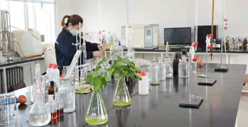 نظرة عامة على المصنع 3