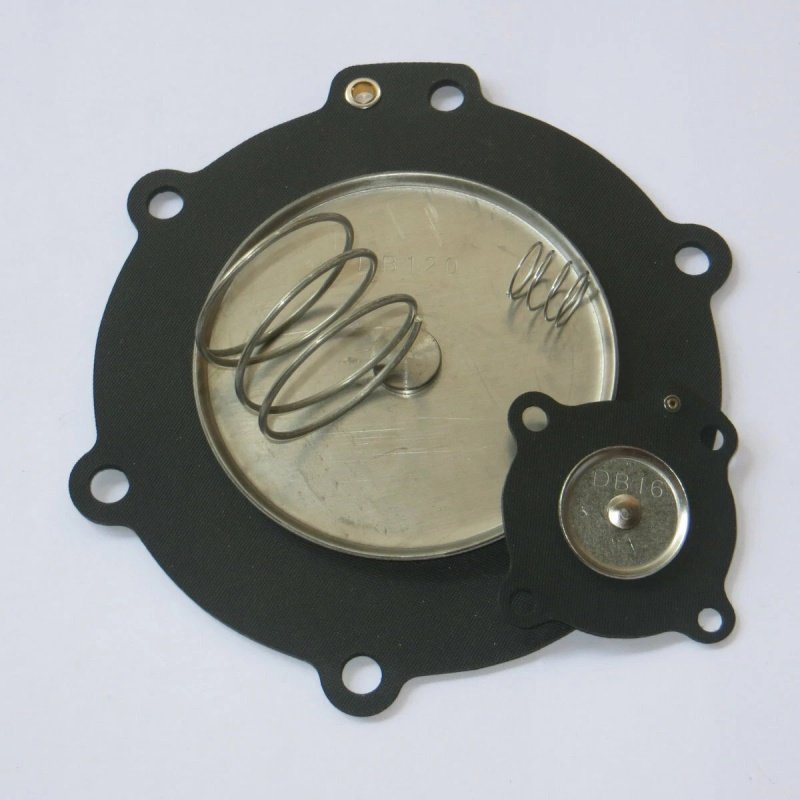 Diaphragm Kit Repair Kit