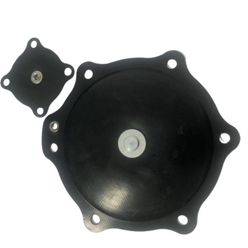 Kit De Servicio De Válvula Solenoide De 2 1/2" Con Filtro De Pulso Numatic Asco C113686