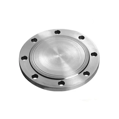 Stainless Steel Blind Flange