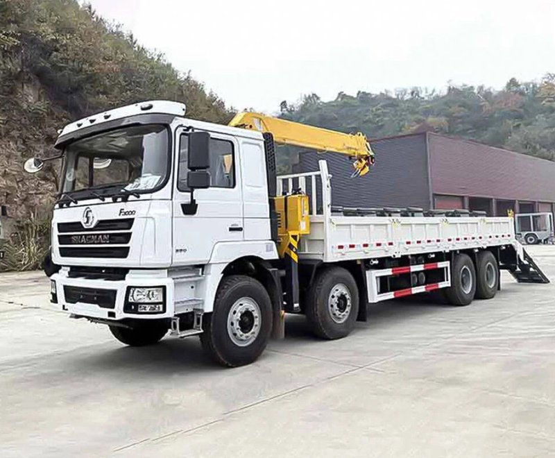 Used F3000 8×4 Cargo Truck