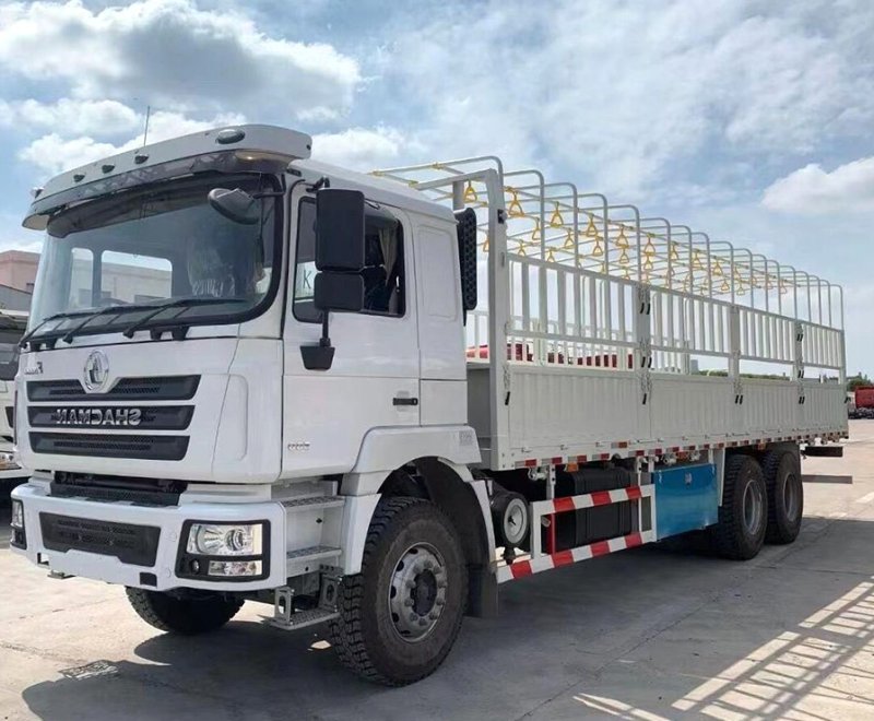 Used F3000 6×4 Cargo Truck