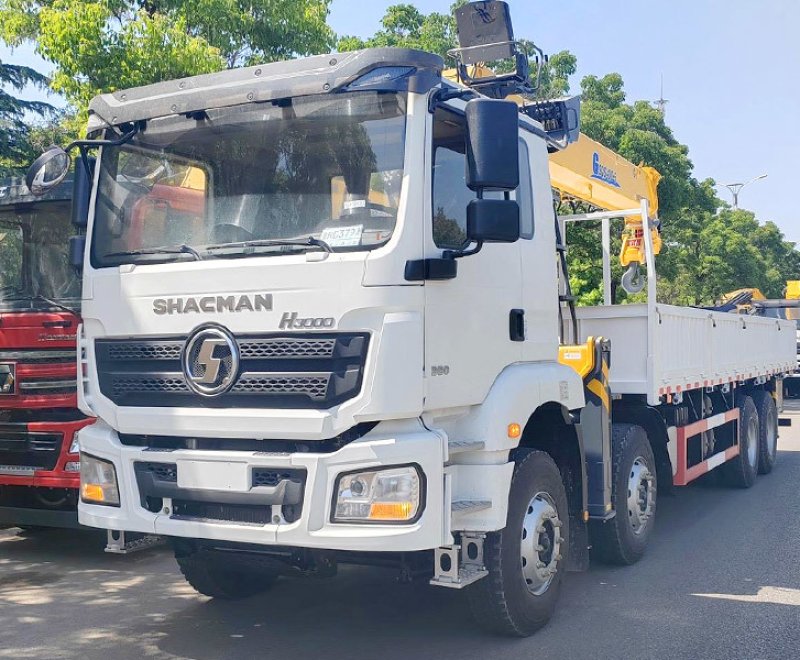 SHACMAN H3000 8×4 Cargo Truck