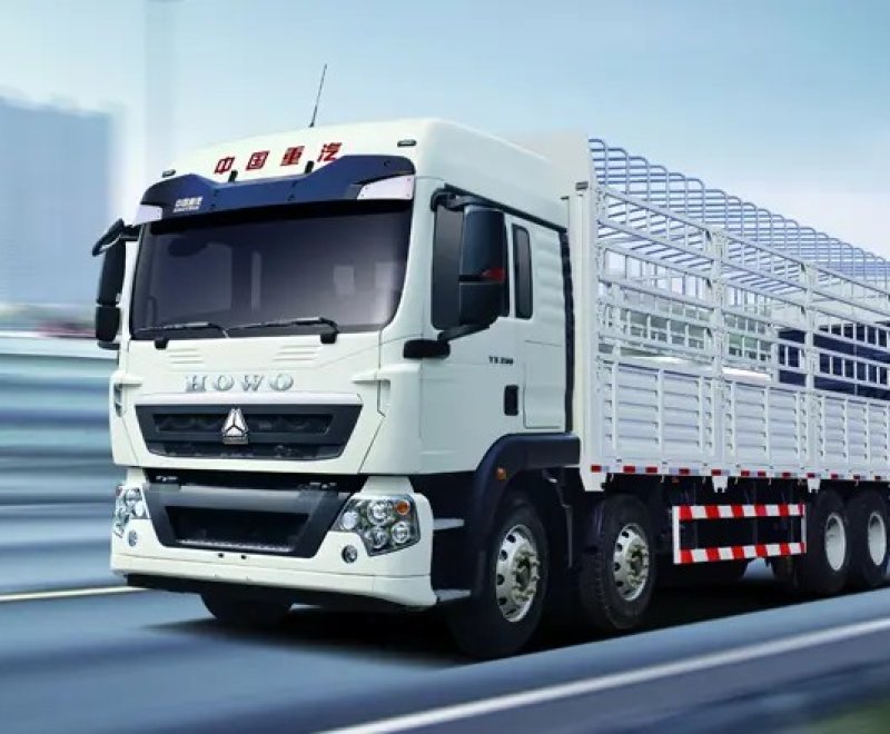 SINOTRUK HOWO TX 8×4 Cargo Truck