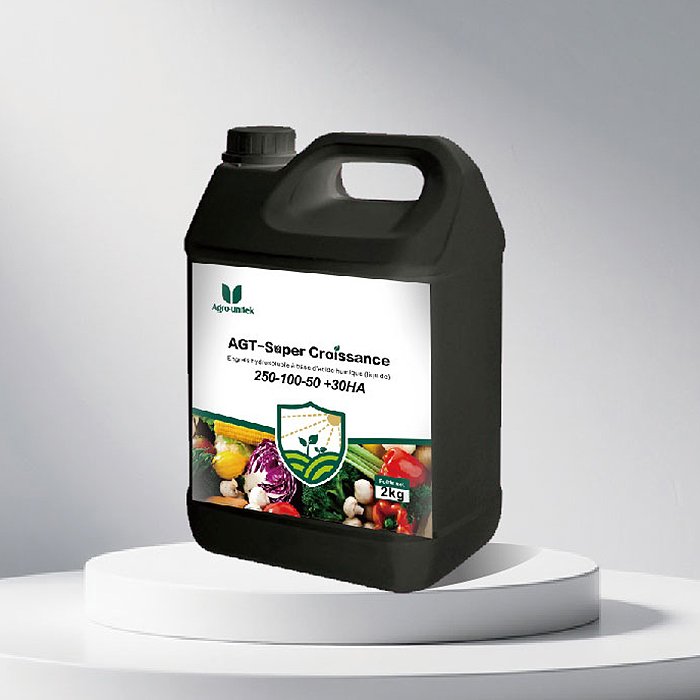 AGT-Super Croissance