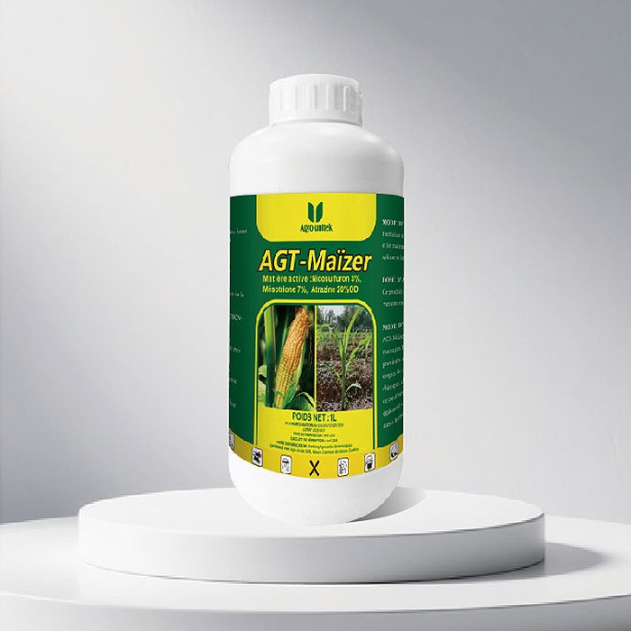 AGT-Maïzer