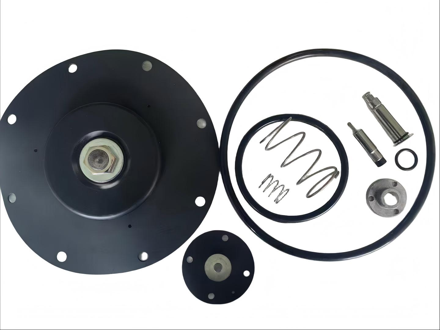 diaphragm repair kit (2)