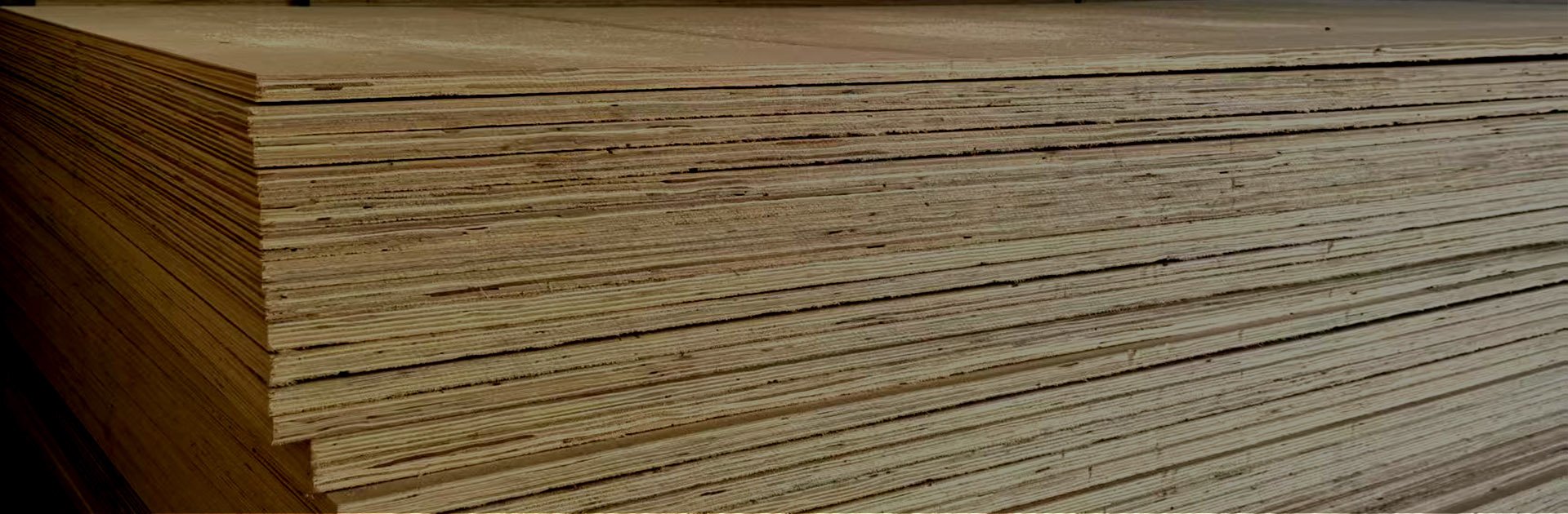 PLY WOOD