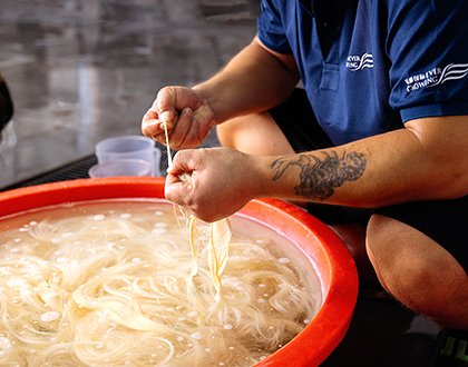 Hair Treatment Process