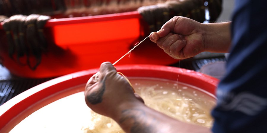 Hair Treatment Process