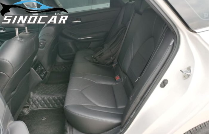 丰田亚洲龙 2020 2.0L XLE尊享版白色 (10)