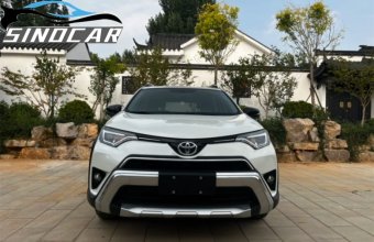 丰田RAV4荣放 2019 2.0L CVT两驱风尚版 (9)