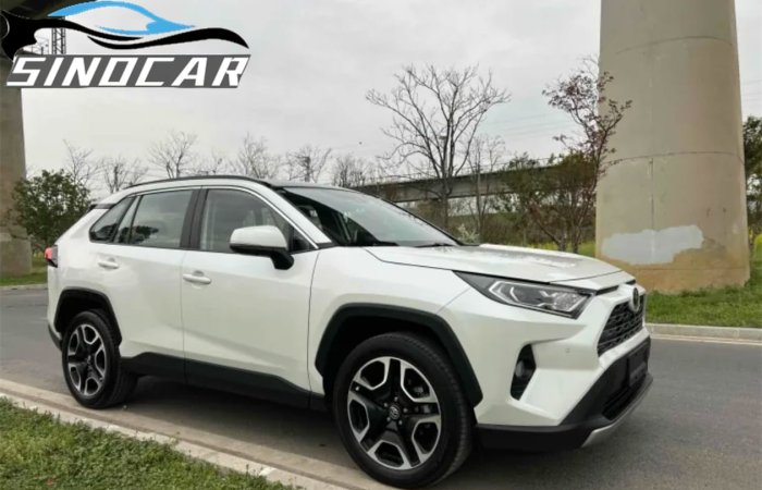 丰田RAV4荣放 2019 2.0L CVT两驱尊贵版 (9)