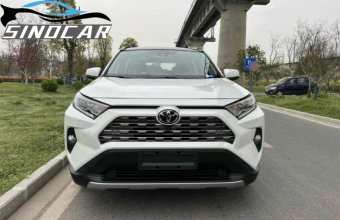 丰田RAV4荣放 2019 2.0L CVT两驱尊贵版 (7)