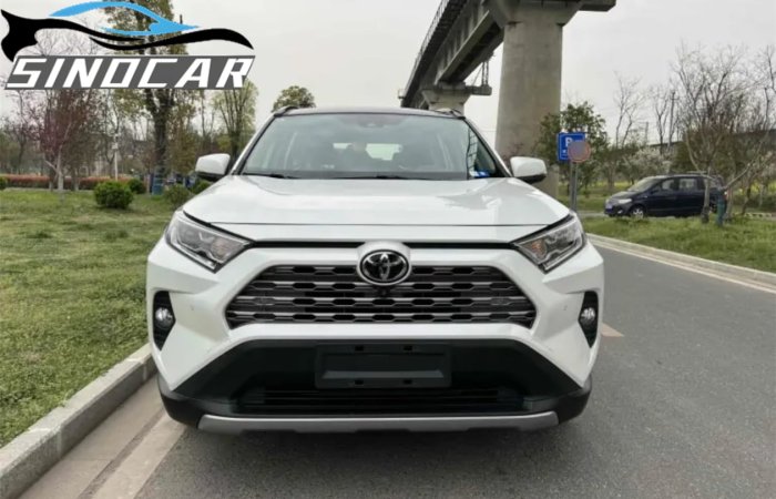 丰田RAV4荣放 2019 2.0L CVT两驱尊贵版 (7)