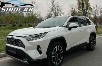 丰田RAV4荣放 2019 2.0L CVT两驱尊贵版 (10)